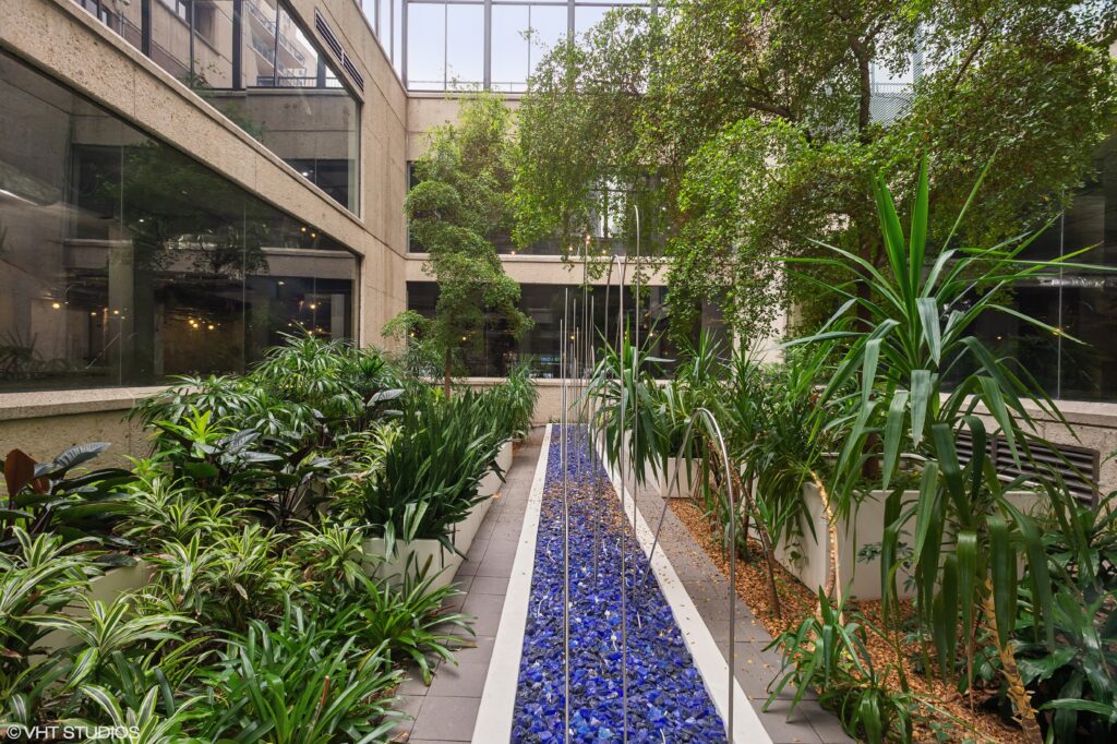 New Berry Plaza